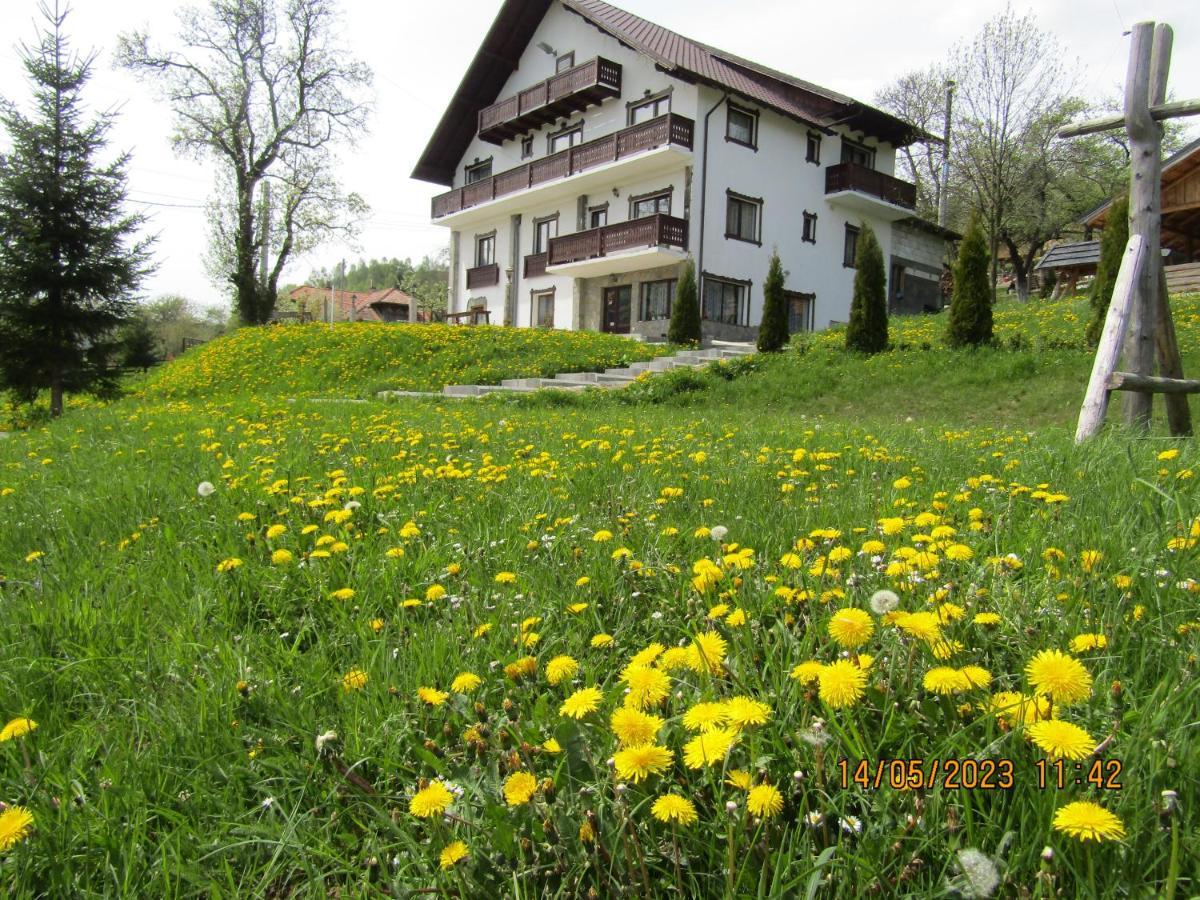 Ograda De La Munte Villa Bran  Exterior photo